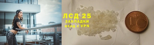 ГАЛЛЮЦИНОГЕННЫЕ ГРИБЫ Аркадак