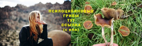 ГАЛЛЮЦИНОГЕННЫЕ ГРИБЫ Аркадак