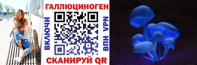 Купить  Меленки  Галлюциногенные грибы Psilocybine cubensis 